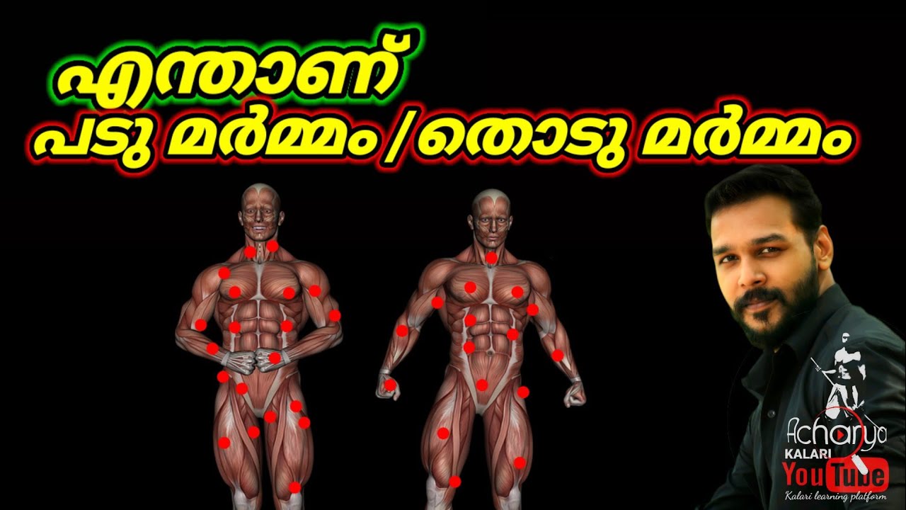എന്താണ് തൊടു മർമ്മം/പടു മർമ്മം? || Acharya kalari