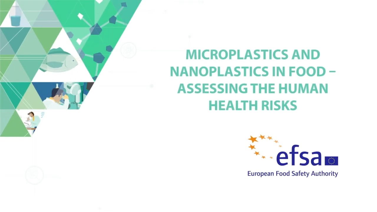 Microplastics and nanoplastics in food &ndash; assessing the human health risks