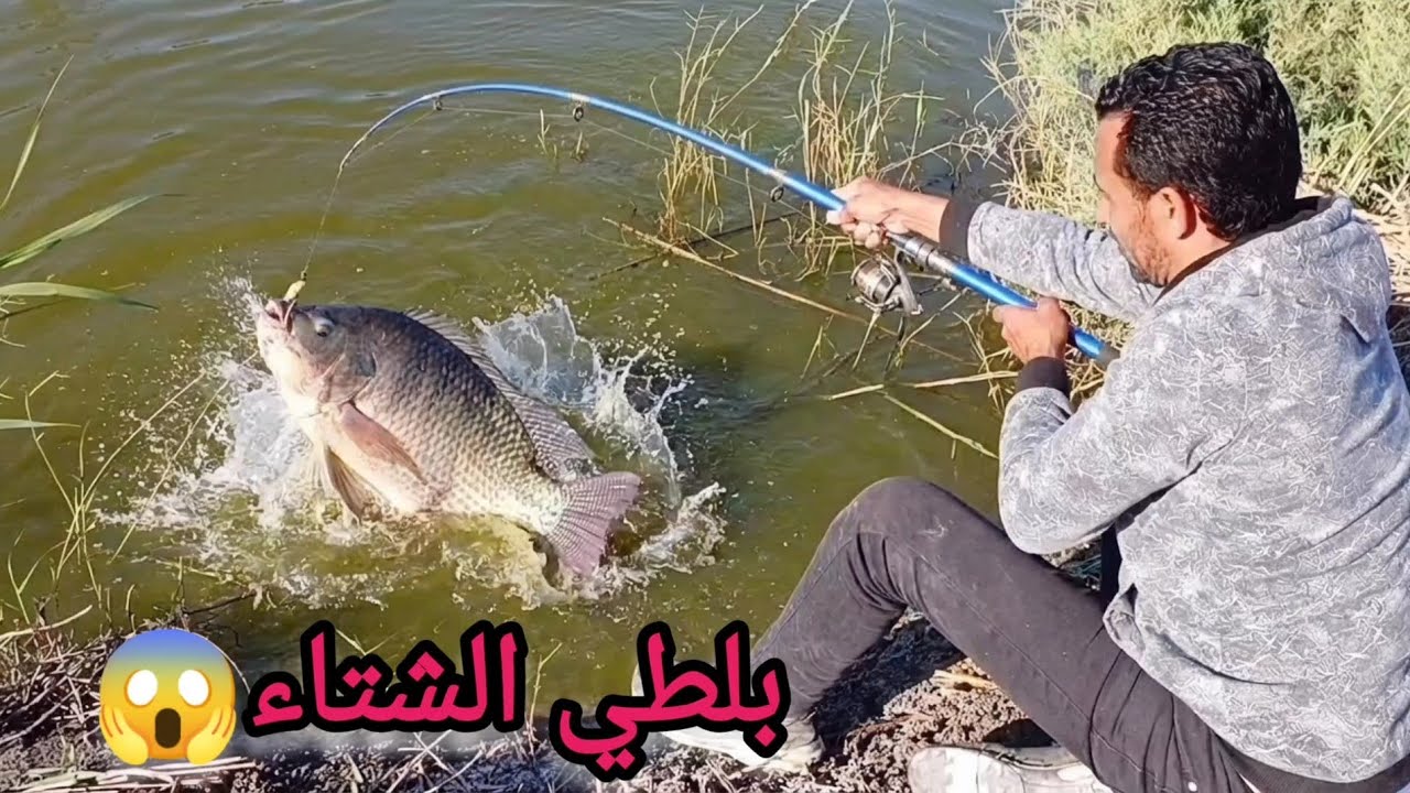 صيد وحـ ـوش البلطي بتاع الشتاء 😲 اقسم بالله مش ملاحق اطلع سمك