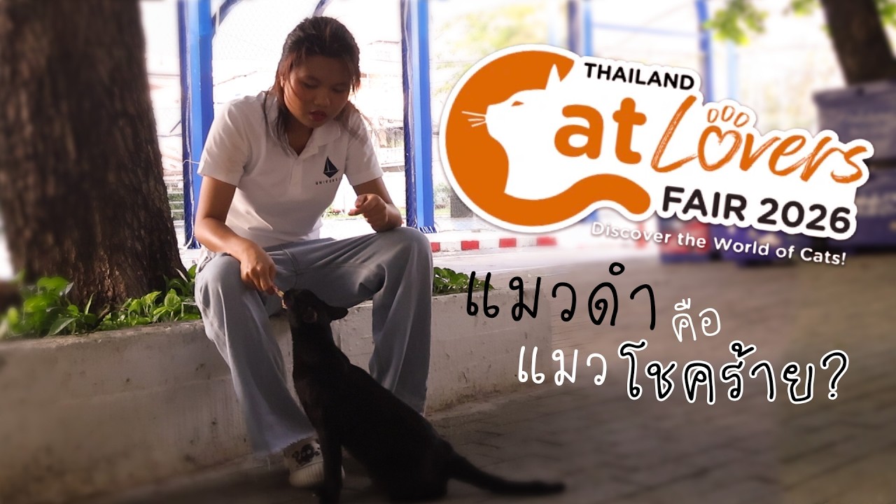 แมวดำคือแมวโชคร้าย? | ละครสั้น ส่งประกวด Thailand Cat Lovers Fair #งานแมวอิมแพ็ค #ละครแมวคุณธรรมSS2