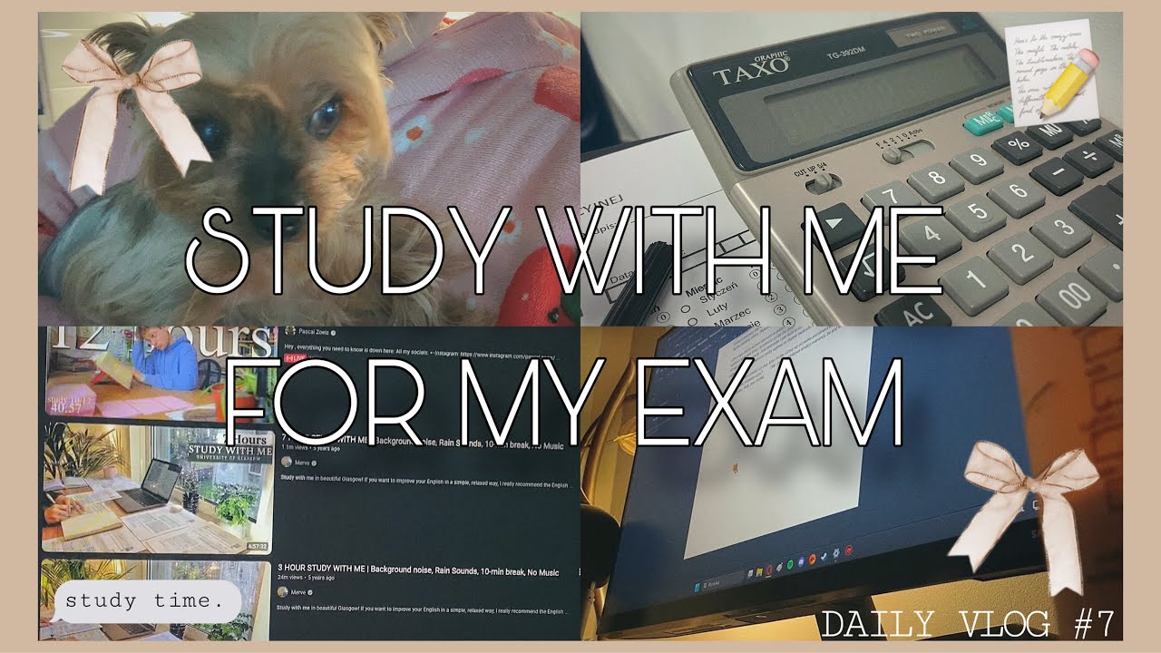 final study session before the final exam  ☆ | daily vlog