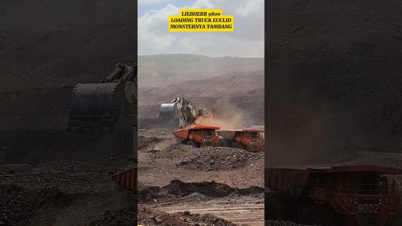 LIEBHERR 9800 LOADING TRUCK EUCLID | MONSTERNYA KALIMANTAN