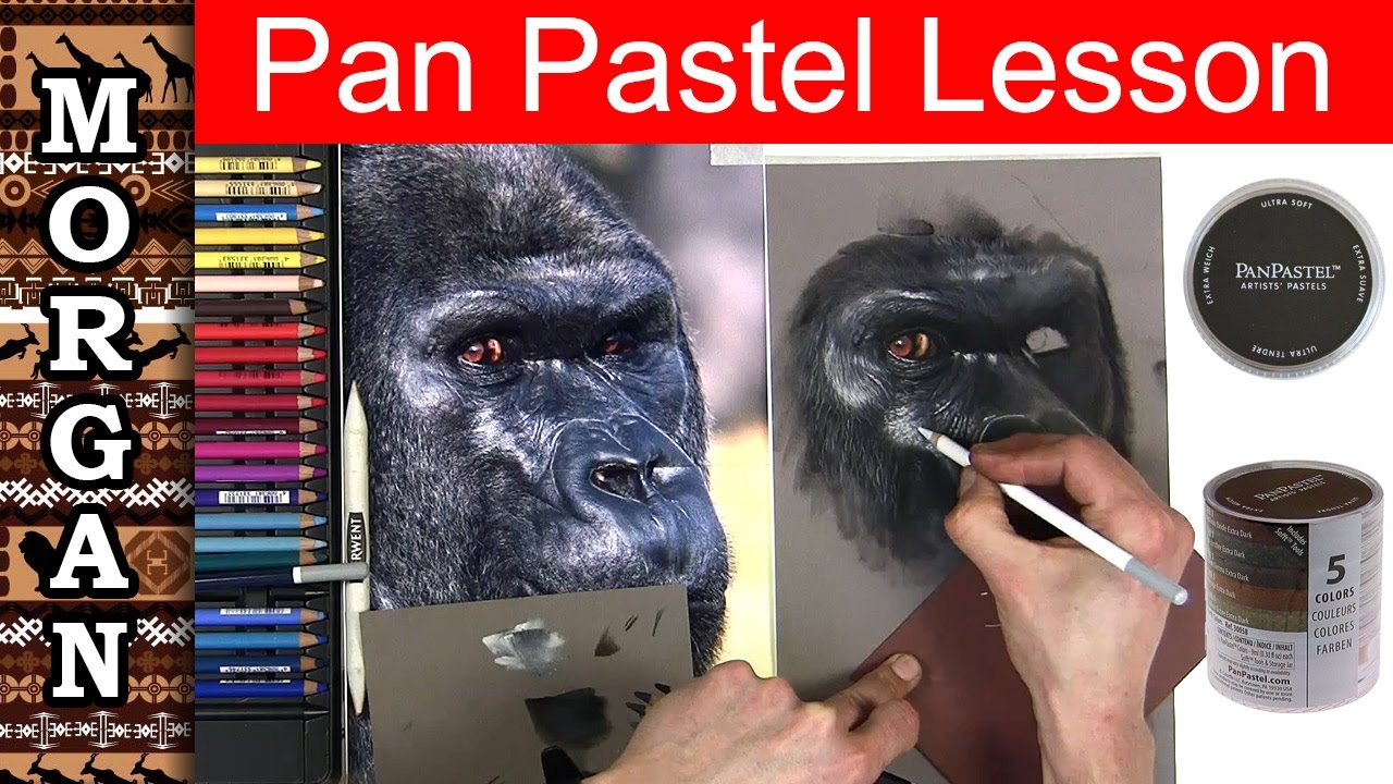 Pan Pastel - Pastel Pencil Lesson / Tips (wildlife art)