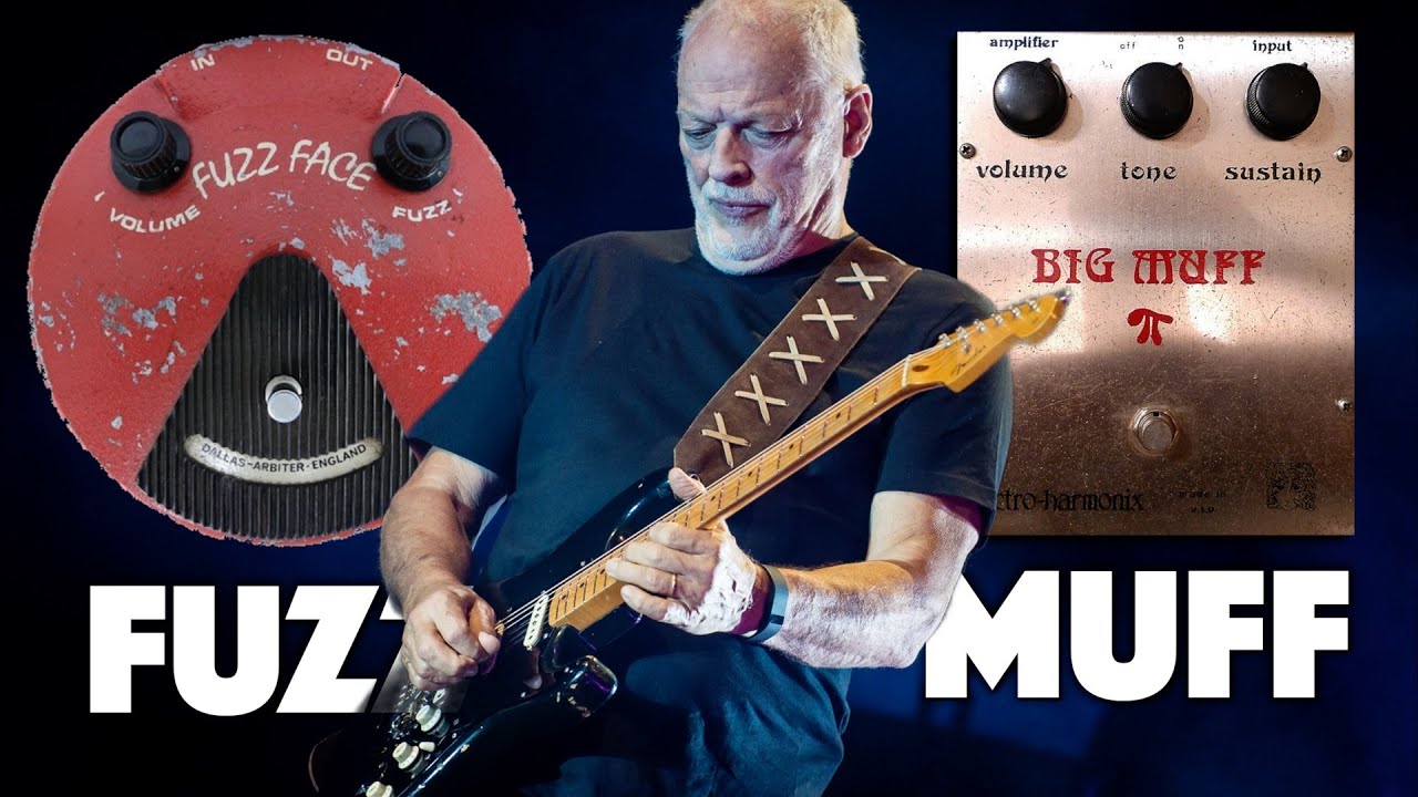 Fuzz or Big Muff? | David Gilmour Tones