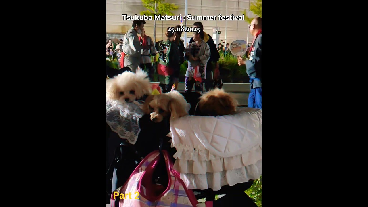 #matsuri #japanvibes #summerfestival  #matsurivibes   #matsurinight #japan_diaries #summerinjapan