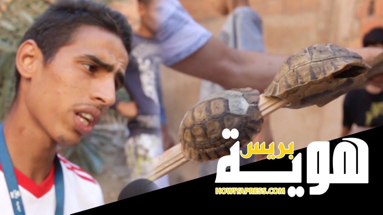 فيديو.. ضحايا فتيحة الشوافة يطالبون بطردها من الحي ومحاكمتها