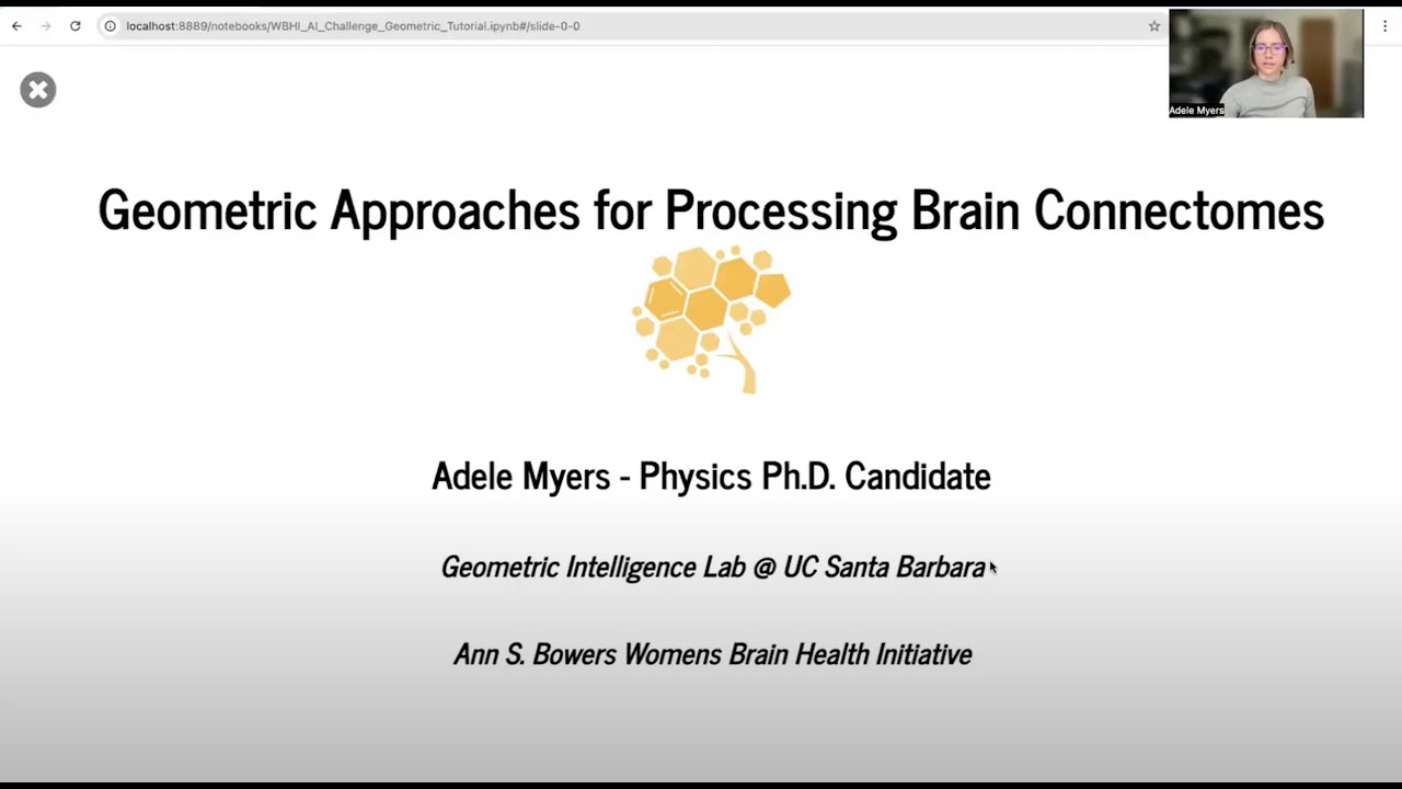 Geometric Approaches for Processing Brain Connectomes