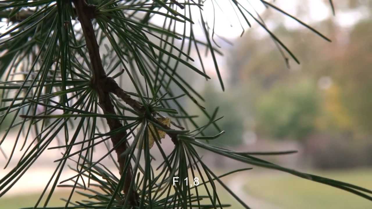 Sony HDR-CX700VE nagrania testowe / CX700 Handycam test footage [HD]