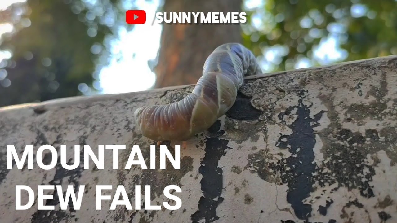 Mountain Dew Fails || Caterpillar Takes Mountain Dew Ad Seriously 😂😂