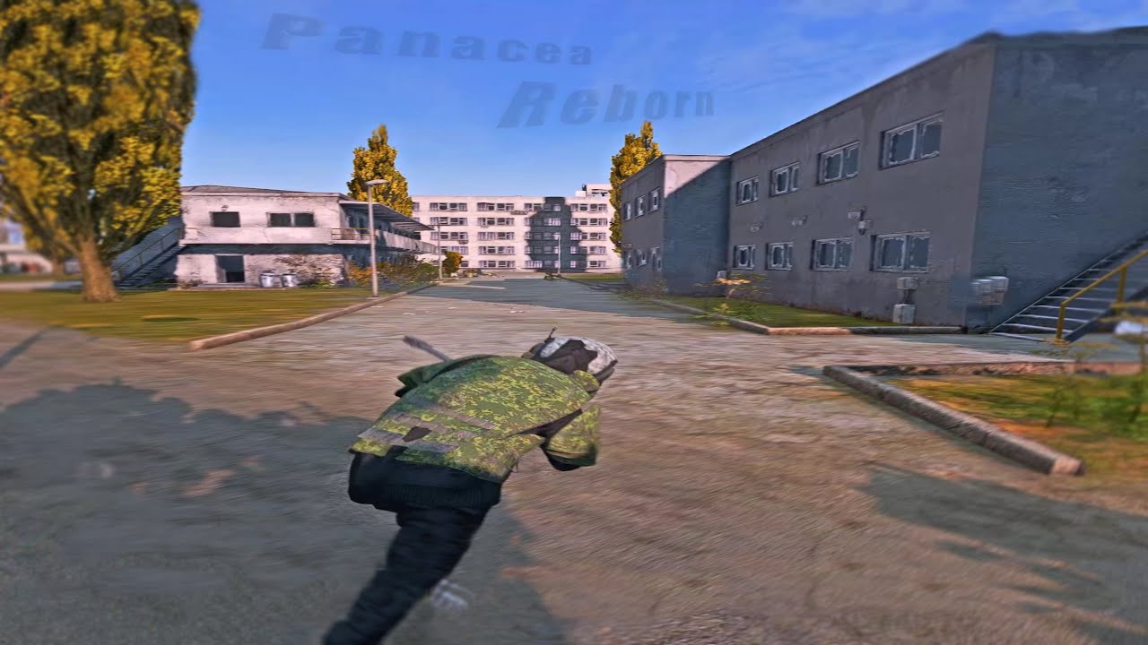 😎💖Reborn💔😯#dayz #fragmovie #movic #pvp #zustark #panacea