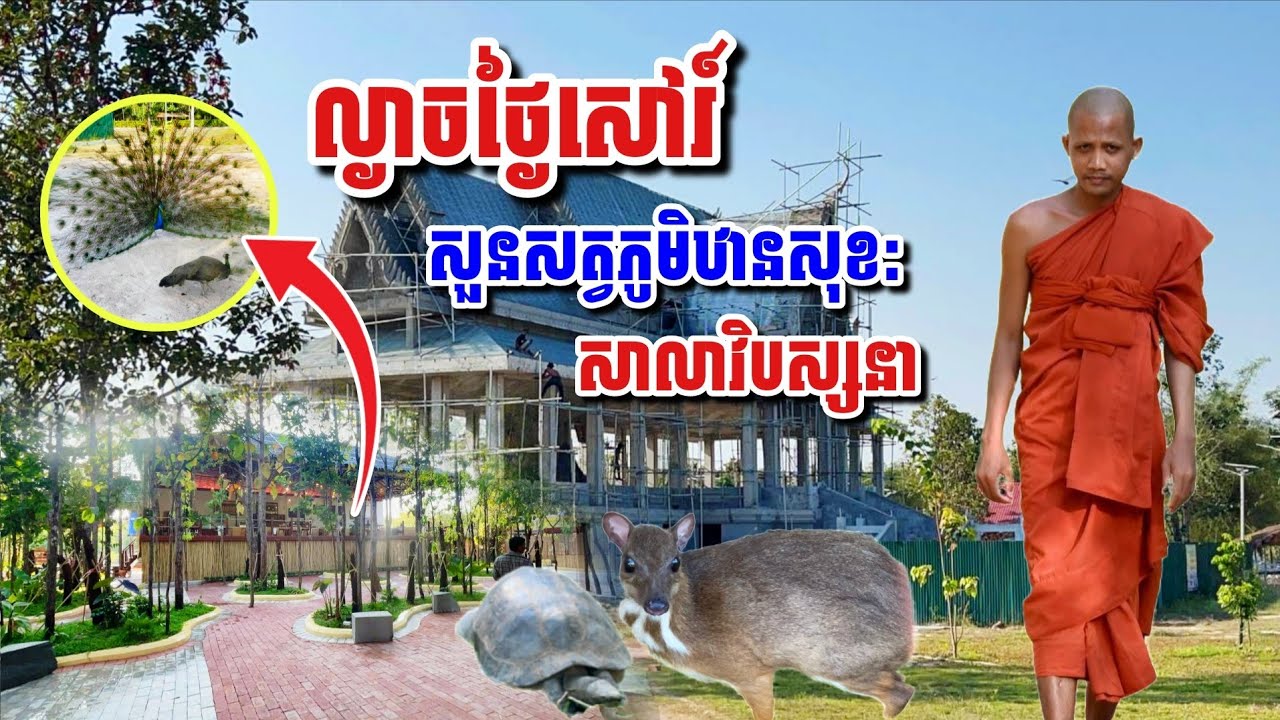 ល្ងាច​ថ្ងៃសៅរ៍​ សួនសត្វភូមិឋានសុខ: សាលា​វិបស្សនា​#អាមាត្យជន 