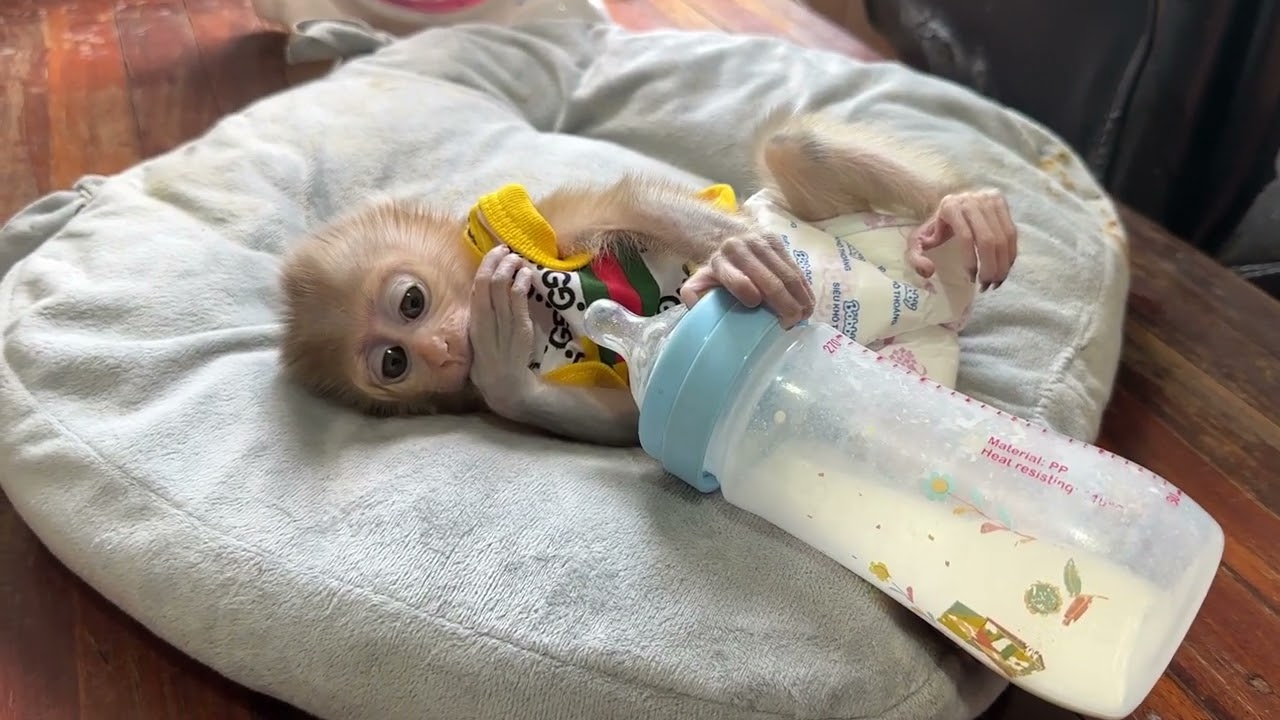 Hello little boy so lovely and beautiful 😍 