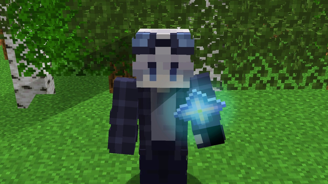 Ce ITEM Te REND INVISIBLE..