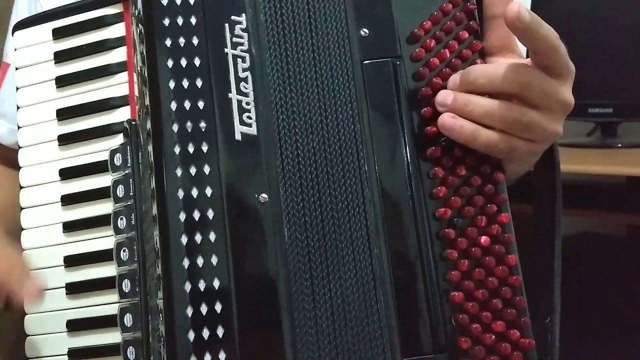 Vídeo aula Acordeon Casamento da Doralice 