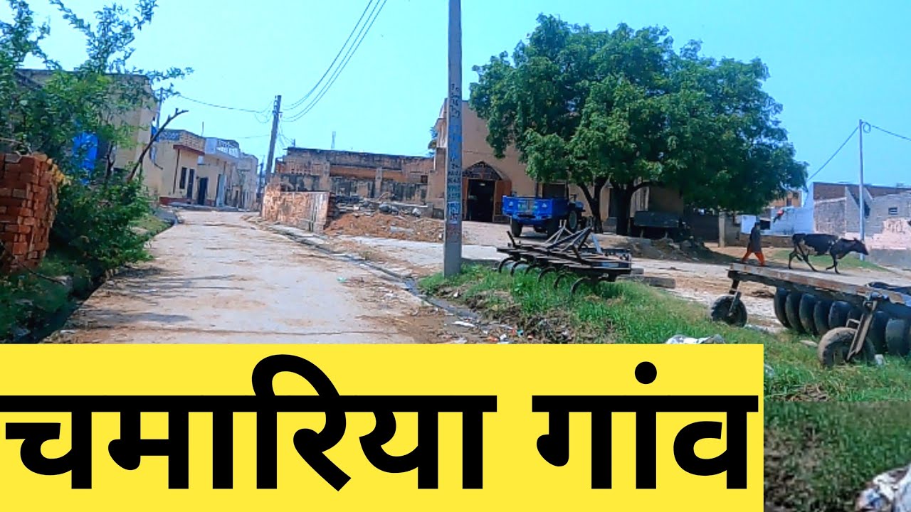 CHAMARIA VILLAGE | Chamaria Rohtak | Chamaria Village Ki Video I Chamaria | चमारिया गाँव