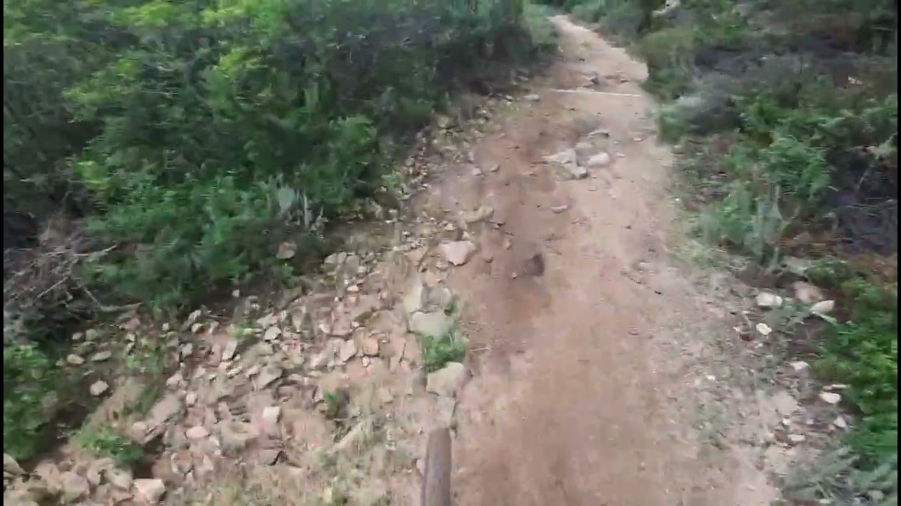 Padru dh 2025