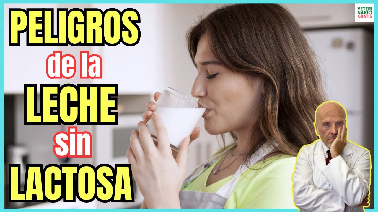 🆘 PORQUE ES TAN MALO TOMAR LECHE SIN LACTOSA SIN SER INTOLERANTE A LA LACTOSA 🆘