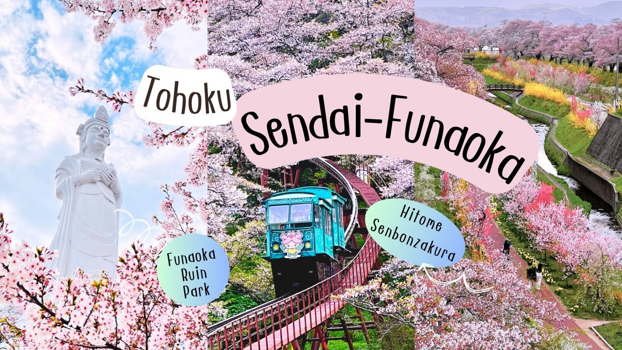 เที่ยวญี่ปุ่น Tohoku Sendai จุดชมซากุระสวยติดอันดับ 1 ใน 100 รีวิวโรงแรมใกล้สถานี Sendai