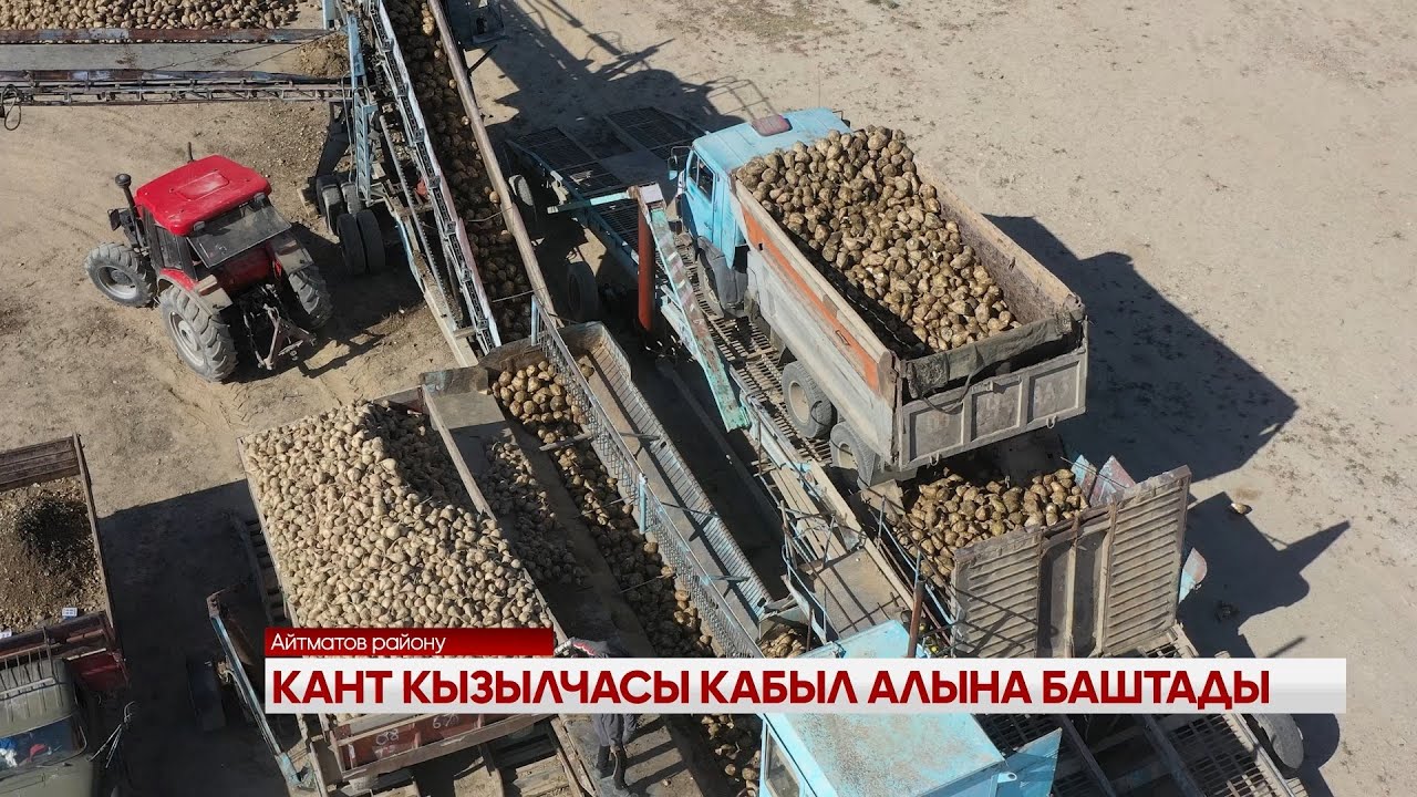 КАНТ КЫЗЫЛЧАСЫ КАБЫЛ АЛЫНА БАШТАДЫ