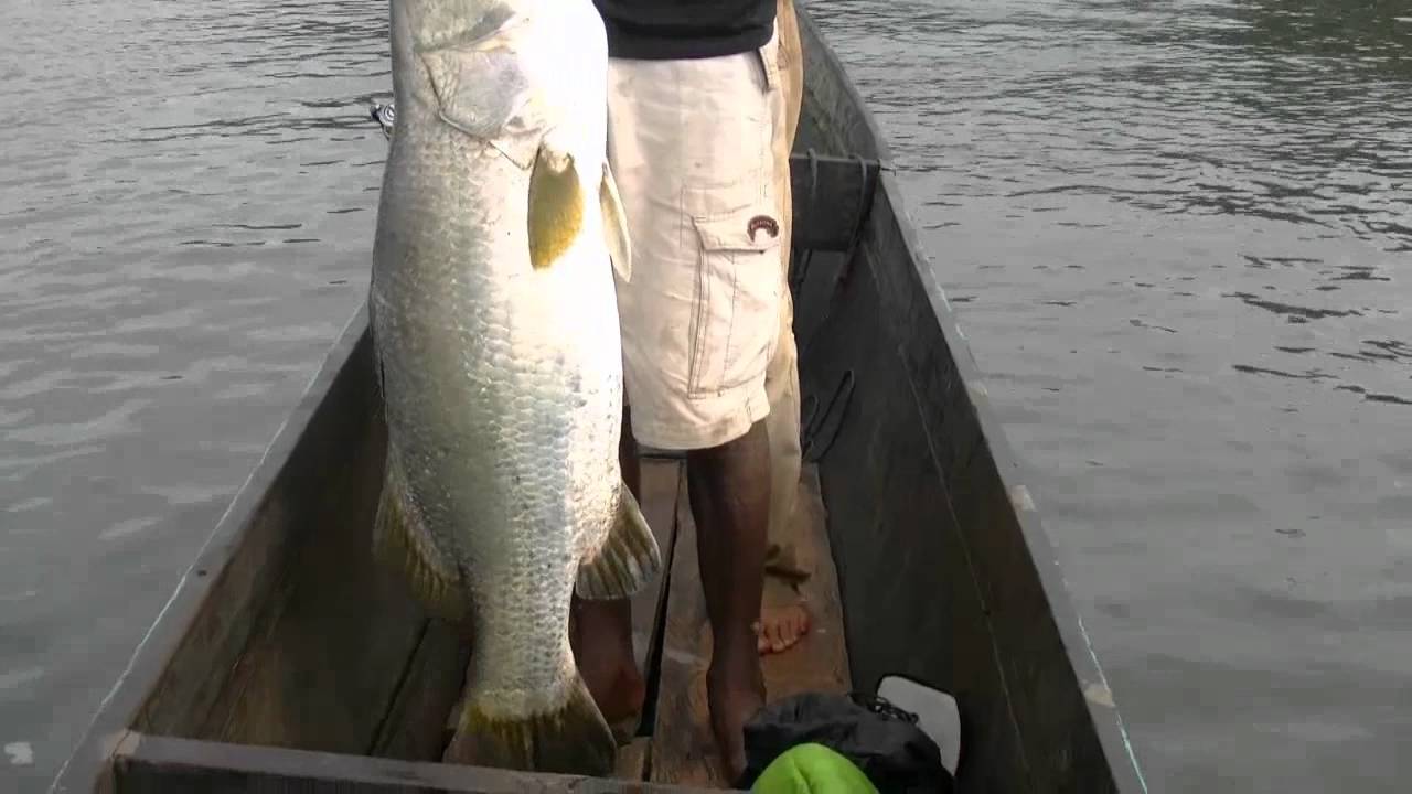 Papua Fishing Adventure for barramundis and papuan bass