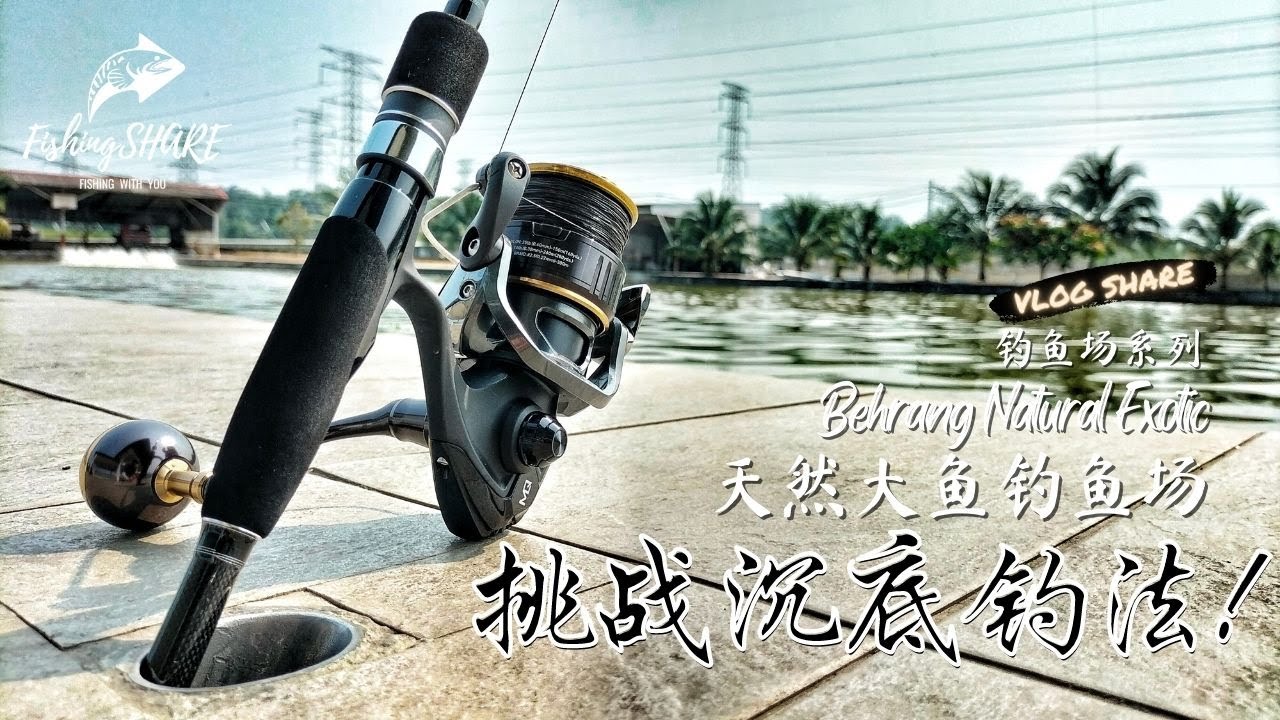 【FishingShare】在天然大鱼钓鱼场挑战沉底钓法！(钓鱼场系列）| BOTTOM FISHING in BEHRANG NATURAL EXOTIC FISHING POND！