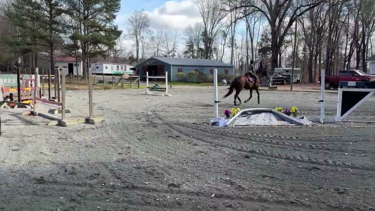Luna in jump lesson