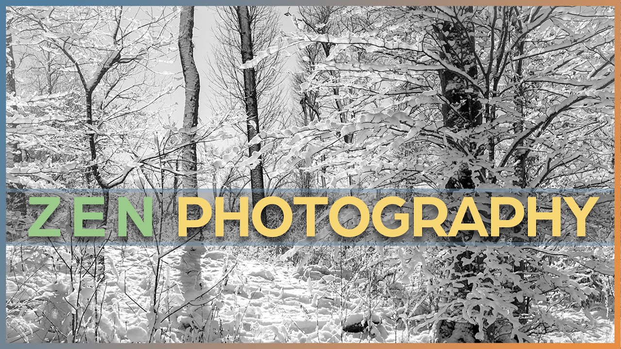 STATE PARK Photography. A Zen-Like Approach To Storytelling.
