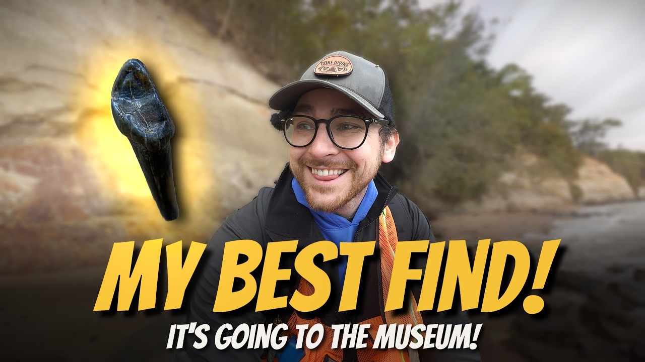 I Made a Massive Fossil Discovery in Virginia!