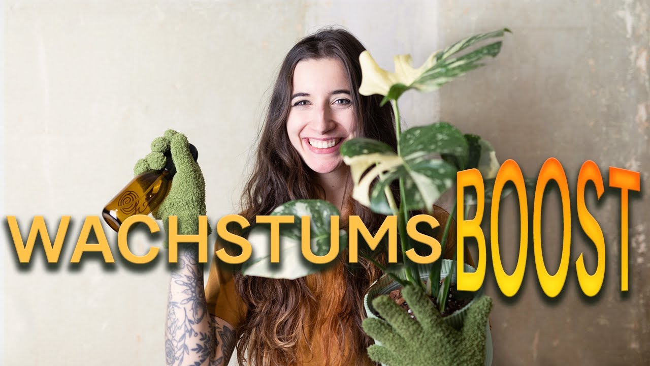 WACHSTUMS-BOOST 💥 für deine Pflanzen! 🌿 3 einfache Schritte für den perfekten Start ins Frühjahr