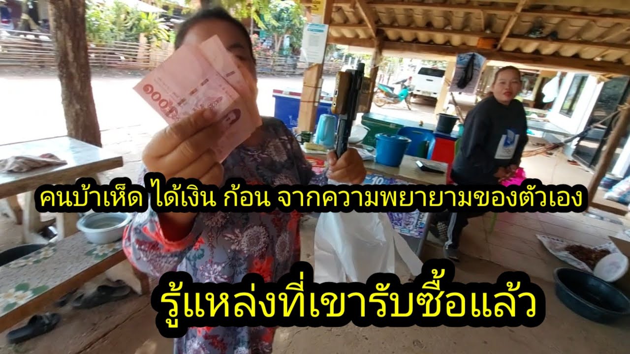 คนบ้าเห็ดได้เงินก้อนจากการพยายาม มาหลายวัน#จิตอาสา 