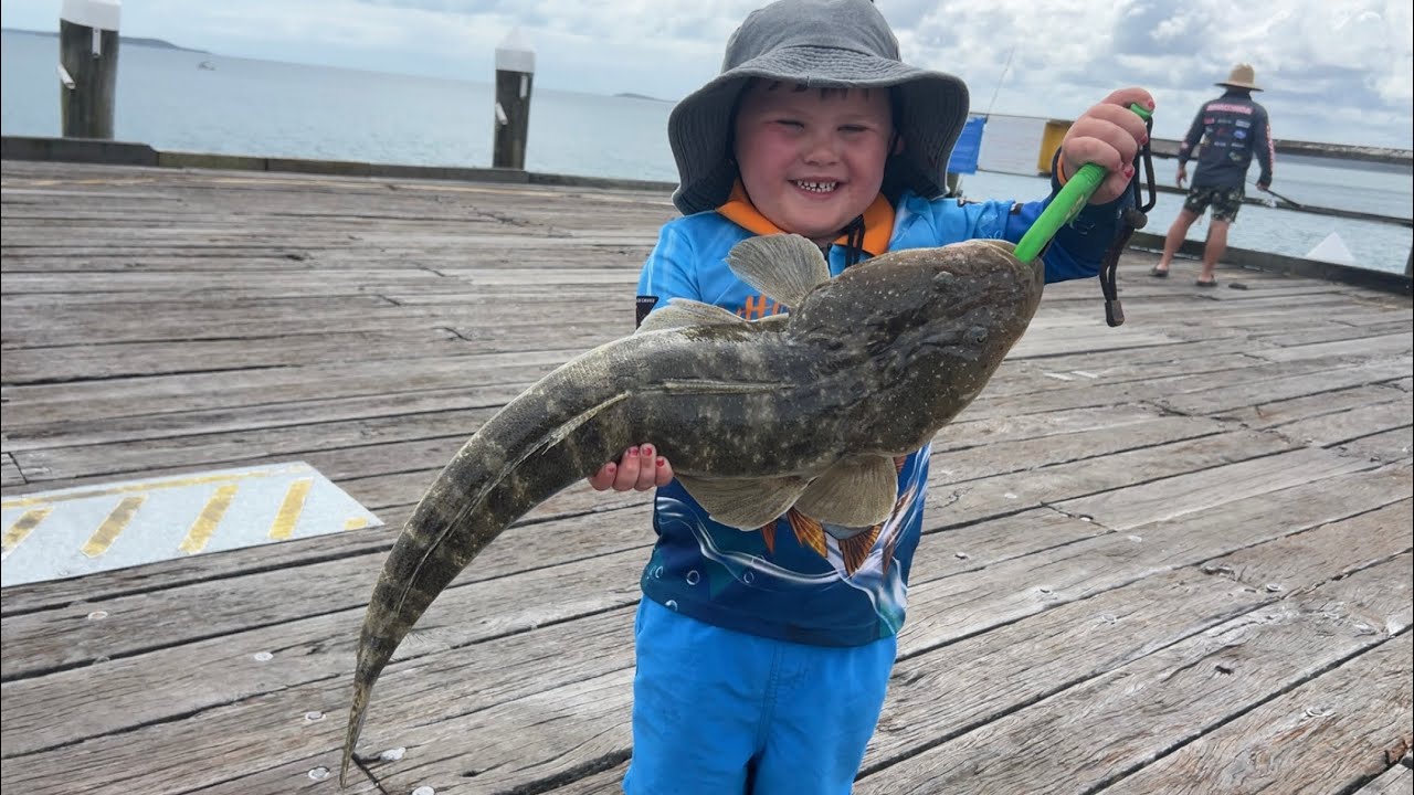 Big flathead and mackerel slashing baits off the top Fraser Island / Kingfisher Bay Fishing