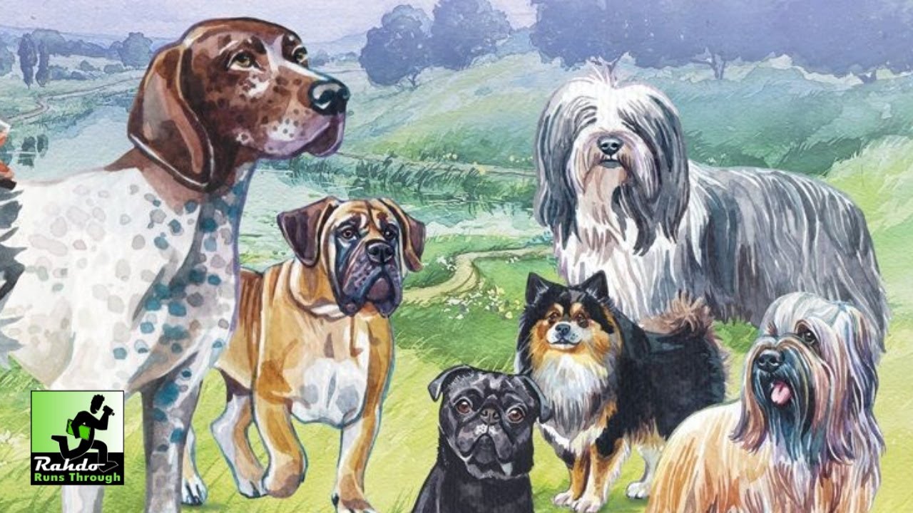Dog Park | A Rahdo Runthrough by Ruel