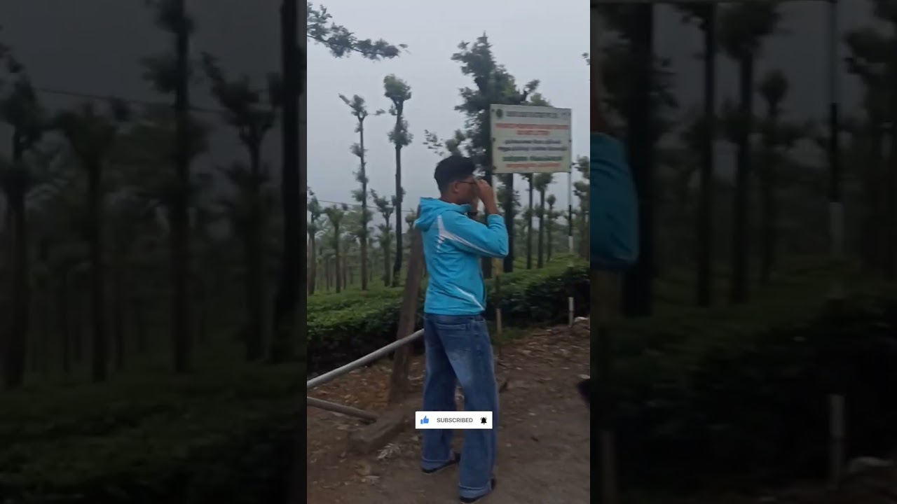 ഊട്ടി ഒരു യാത്ര മനോഹരമായ ഒരു തണുപ്പ് യാത്ര ഫ്രണ്ട്സിന്റെ കൂടെ ചിരിച്ചും കളിച്ചും സന്തോഷമായ ഒരു യാത്ര