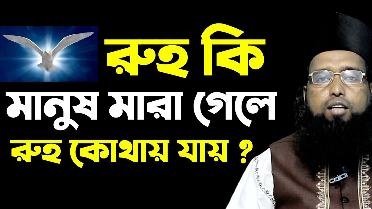 রুহ কি ? মানুষ মারা গেলে রুহ কোথায় যাই। পীর গাজী হাবিবুর রহমান রেজভী সূফিবাদী ||