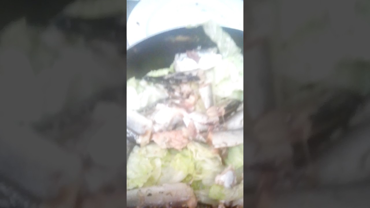 Scared in the kitchen/Fish salad suprise