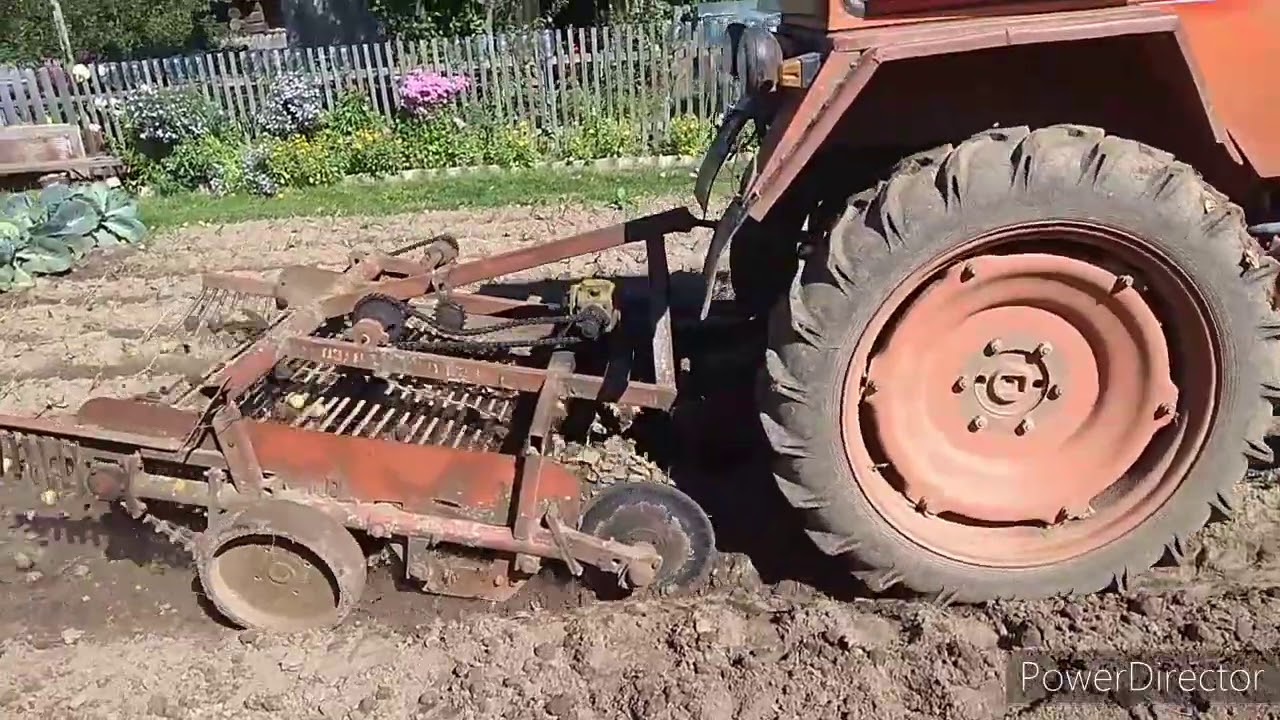 Самодельная двухрядная картофелекопалка для трактора Т-25 снова в работе. Урожай 2020