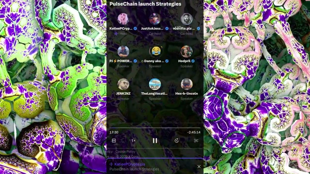 KatieePCrypto Twitter Space PulseChain Launch Strategies