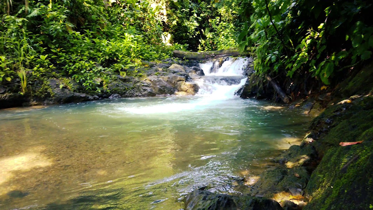 Brisas del Nara, Quepos