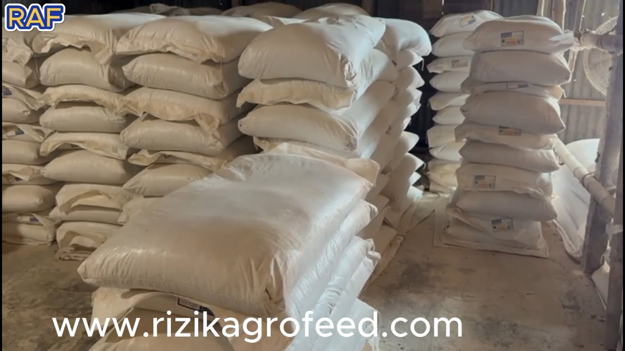 রিজিক এগ্রো ফিডের ঠিকানা | ডিলার নিয়োগ চলছে | সরাসরি খামারিদের জন্য মিক্সার ফিড