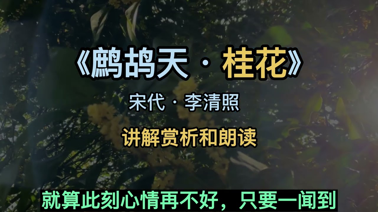 鹧鸪天·桂花 讲解朗读 中国宋代李清照 桂花自是花中第一流Li Qingzhao, Song Dynasty, China/Ancient Chinese Poems About Osmanthus