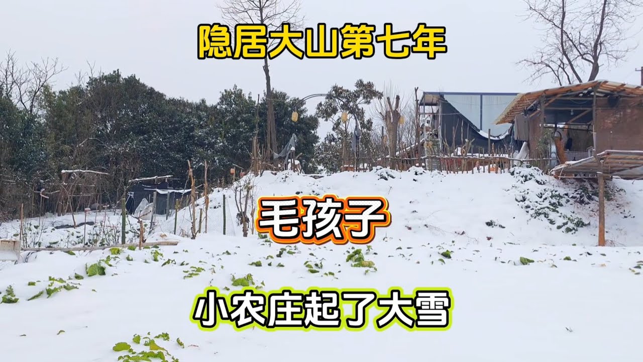 （382）在隐居大山的第七年，毛孩子小农庄迎来了第一场大雪