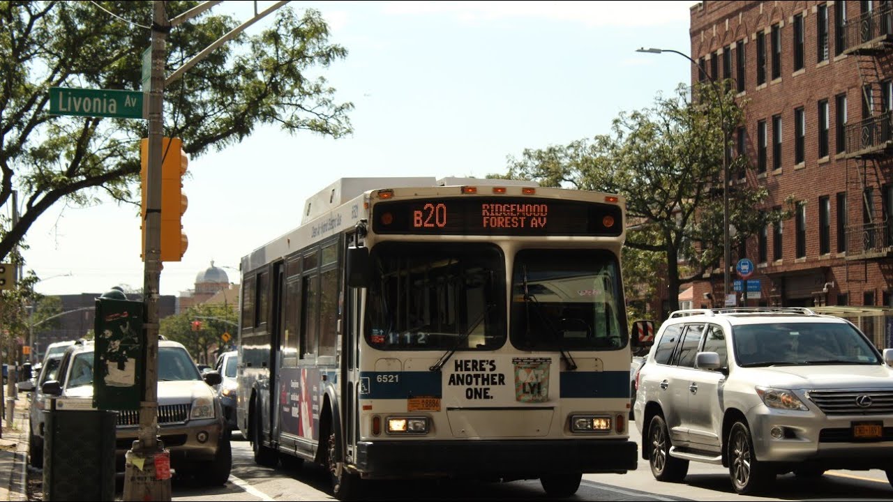 2004-2005 Orion Vll Old Gen Hybrid Gen-ll #6521 & #6573 In Action Along the B20