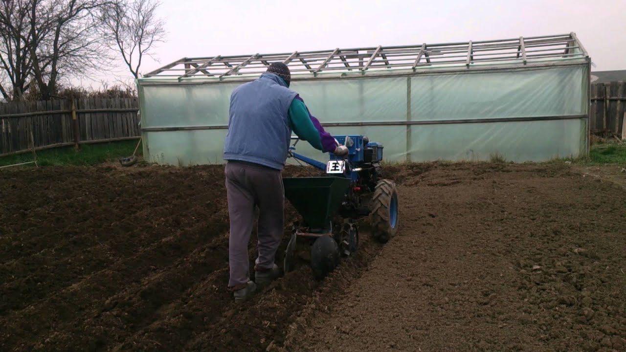 Motocultor zubr la plantat cartofi