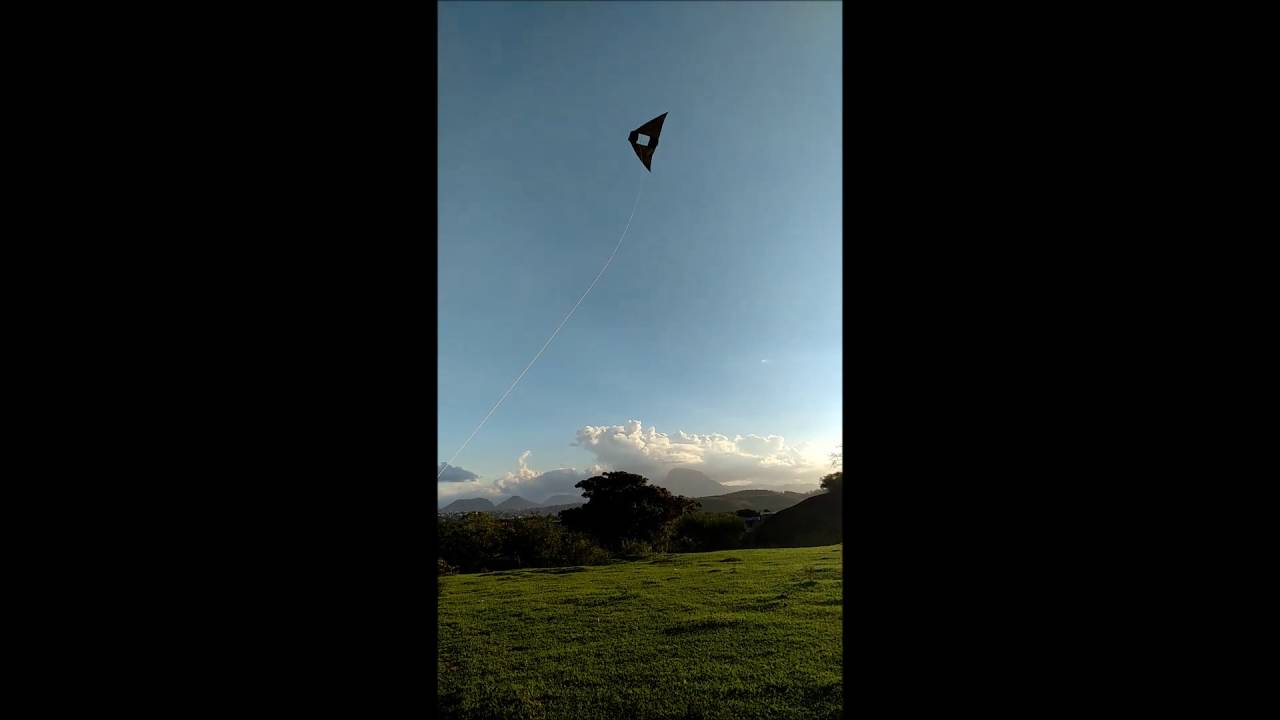 Pipa Kite Asa Delta Conyne 75x 175cm