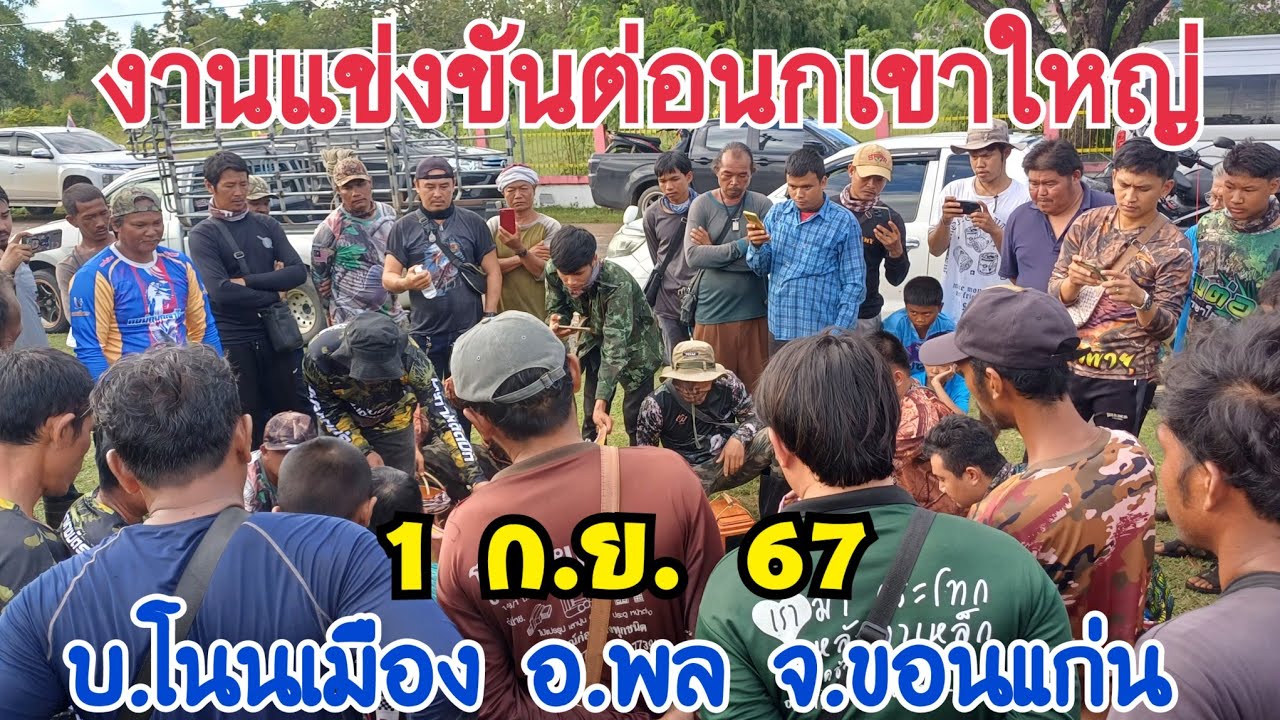 งานแข่งขันต่อนกเขาใหญ่ บ.โนนเมือง อ.พล จ.ขอนแก่น