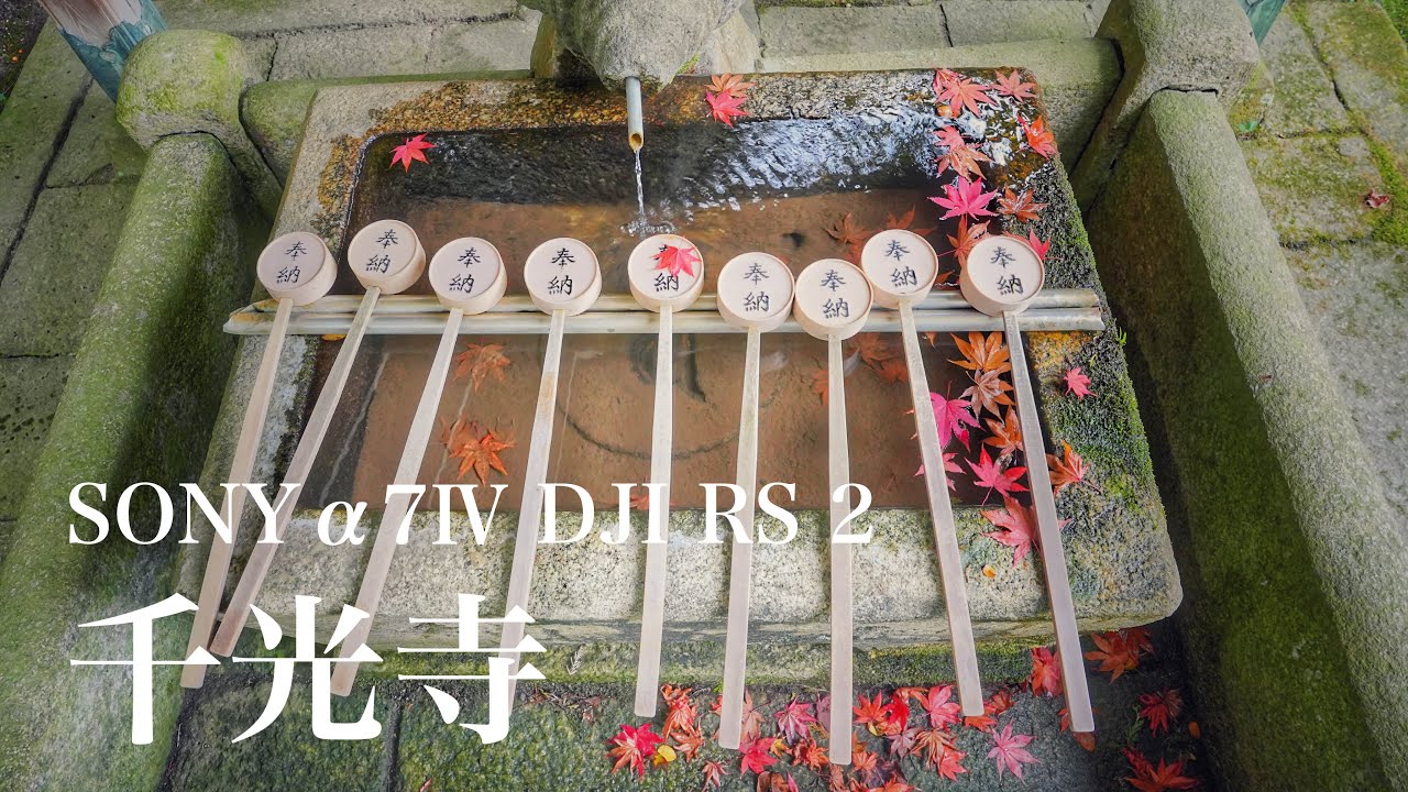 千光寺（奈良県生駒郡平群町）SONYα7Ⅳ DJI RS2