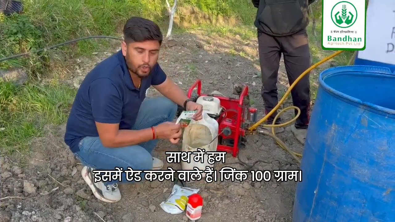 Top Bloom application is being demonstrated with a carefully balanced mix.