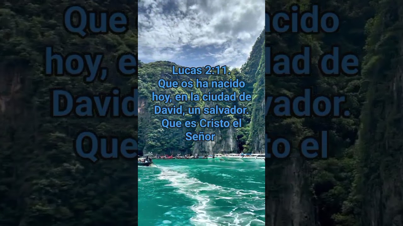 Lucas 2:11.#lucas2:11 #jesus #versiculobiblico #biblia #cristoestodoloquenecesitas