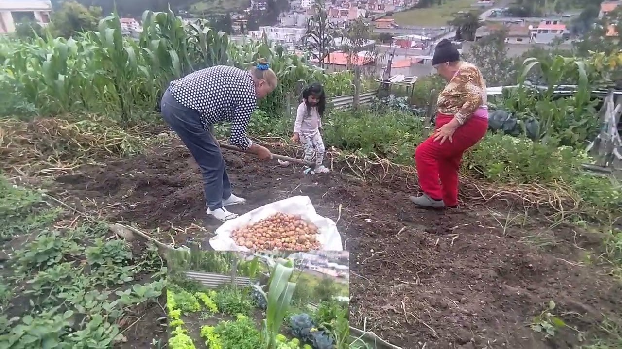 10 de enero de 2026