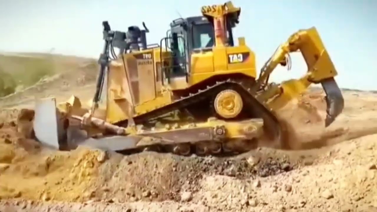 The fierce tiger in the desert that never feared anyone is ..... C! B